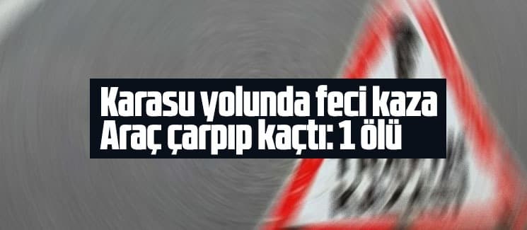 Karasu yolunda feci kaza: 1 ölü