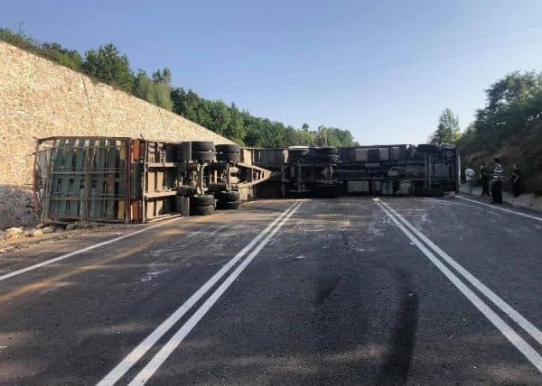 Kamyon devrildi, tavuklar yola saçıldı - Vinç ve forkliftler destek için geldi