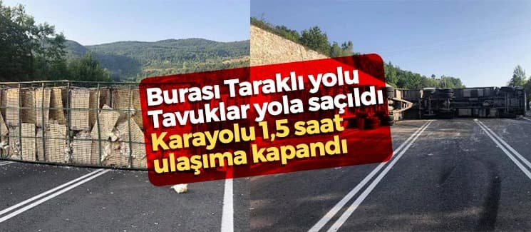 Kamyon devrildi, tavuklar yola saçıldı - Vinç ve forkliftler destek için geldi