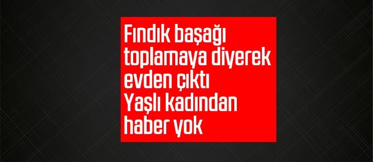  "Fındık başağı yapacam" dedi, kayboldu