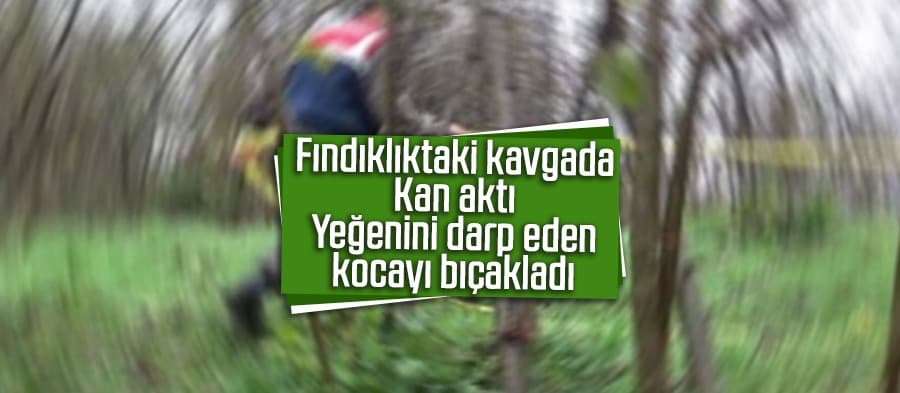 Yeğenine şiddet uygulayan kocayı bıçakladı