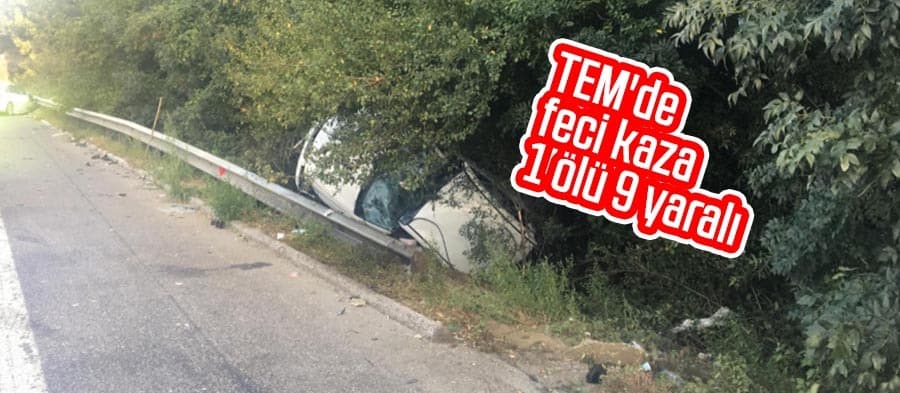 TEM'de feci kaza: 1 ölü, 9 yaralı