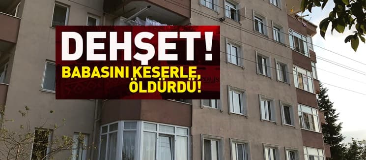 Babasını keserle öldürdü