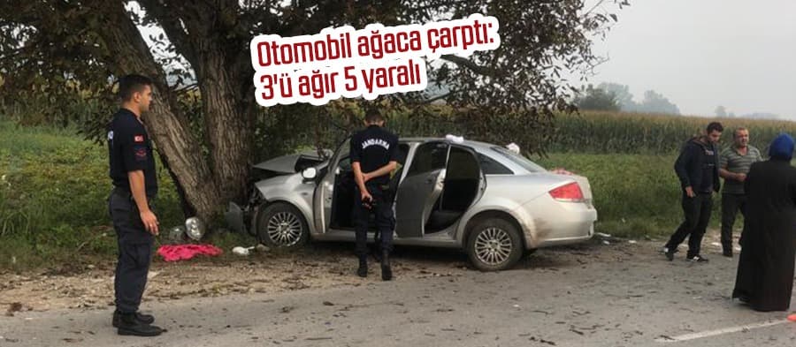 Otomobil ağaca çarptı: 3'ü ağır 5 yaralı