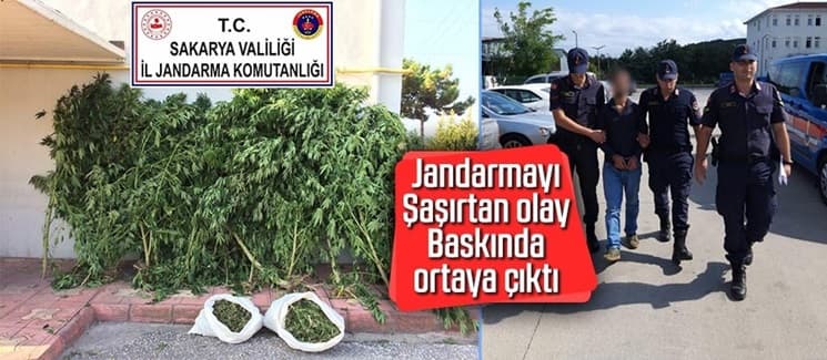 Jandarmayı şaşırtan olay