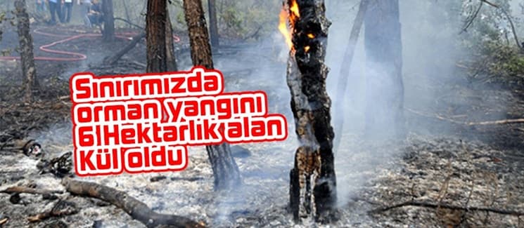 6 hektarlık alan kül oldu