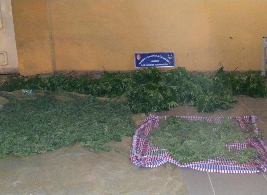 Hendek'te uyuşturucu operasyonu