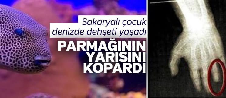 Sakaryalı çocuk denizde dehşeti yaşadı