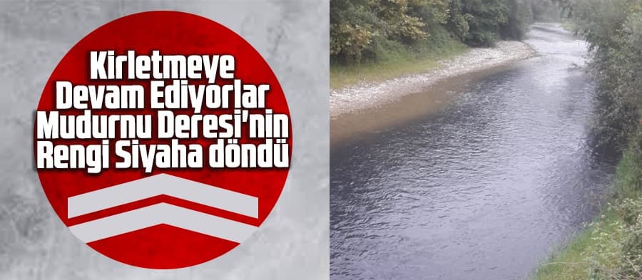 Mudurnu Deresi'nin rengi siyaha döndü
