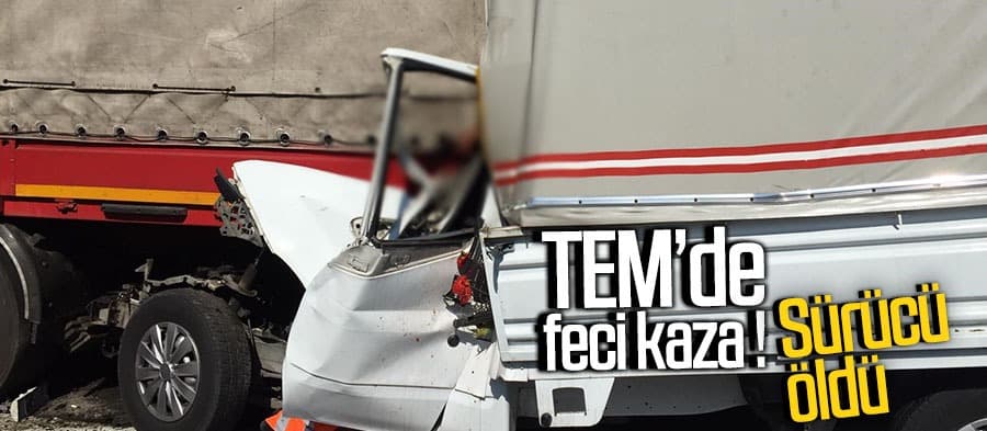 Feci kazada sürücü öldü