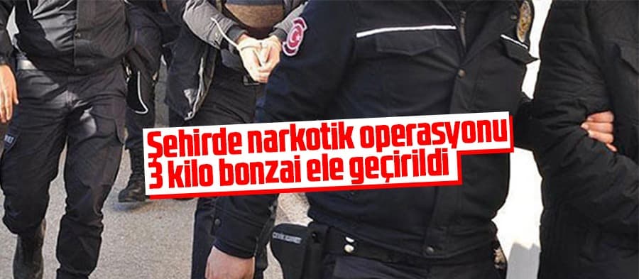Uyuşturucu operasyonu: 3 kilo bonzai ele geçirildi