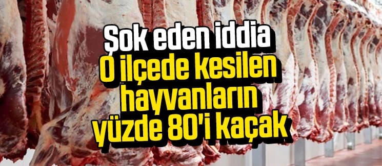 Şok iddia; O ilçede kesilen hayvanların yüzde 80'i kaçak