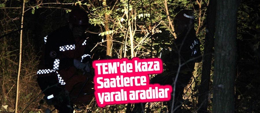 TEM'de kaza; Saatlerce yaralı aradılar