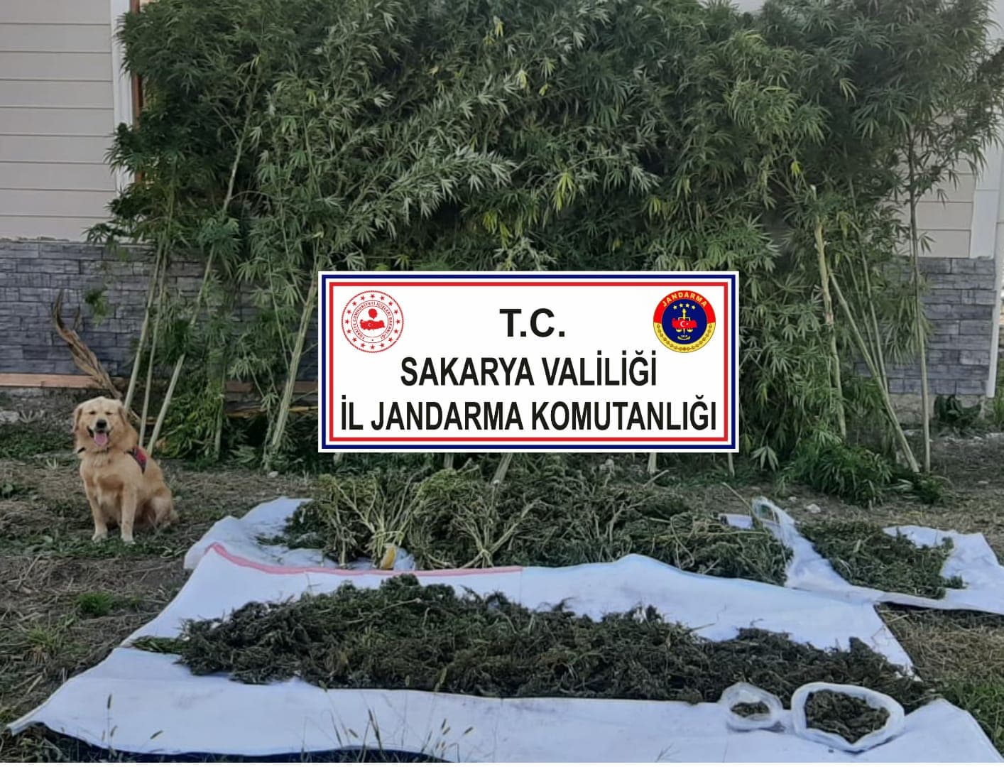 20 kilo uyuşturucu ele geçirildi, aranan 346 kişi yakalandı