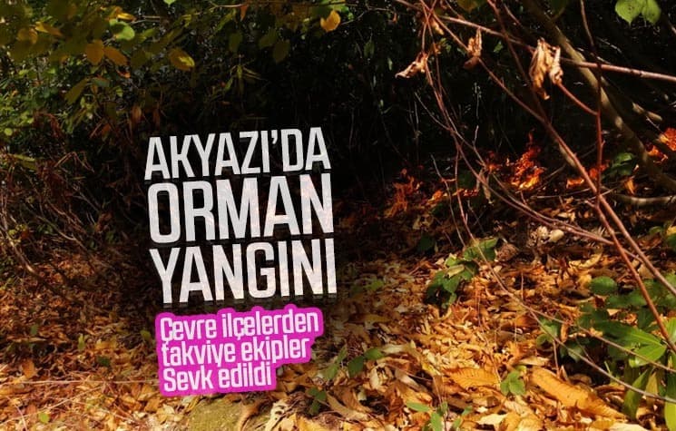 Akyazı'da orman yangını