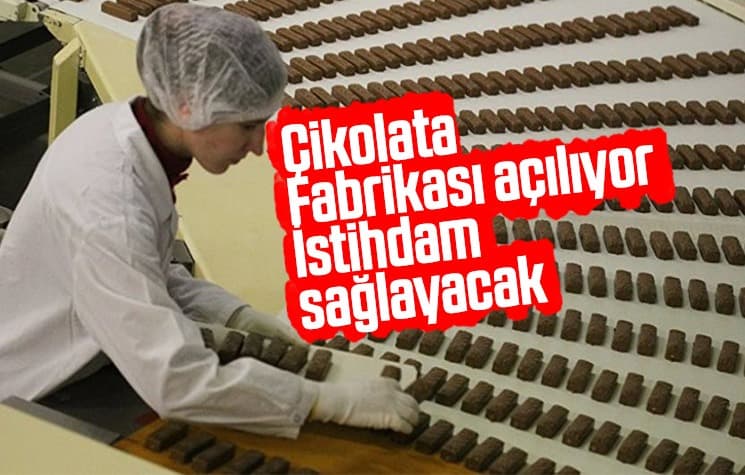 Söğütlü'ye çikolata fabrikası açılıyor