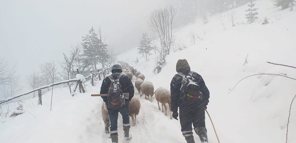Zirvede kar kalınlığı 80 santimetreyi buldu