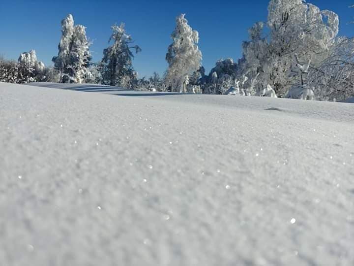 Kartpostallık kar fotoğrafları