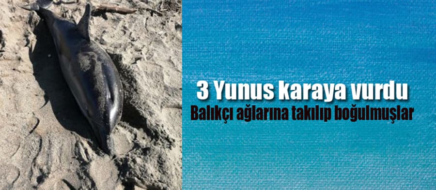 Balıkçı ağlarına takılıp boğuldular