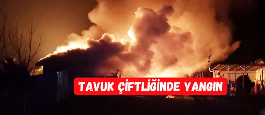 Tavuk çiftliği yandı