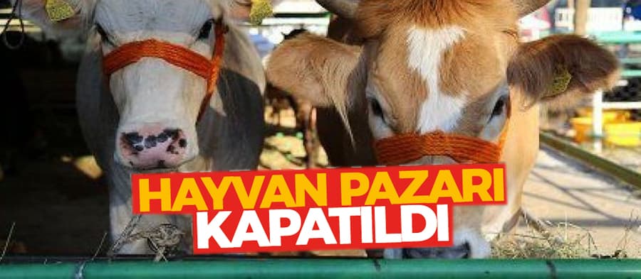 Hayvan pazarı kapatıldı