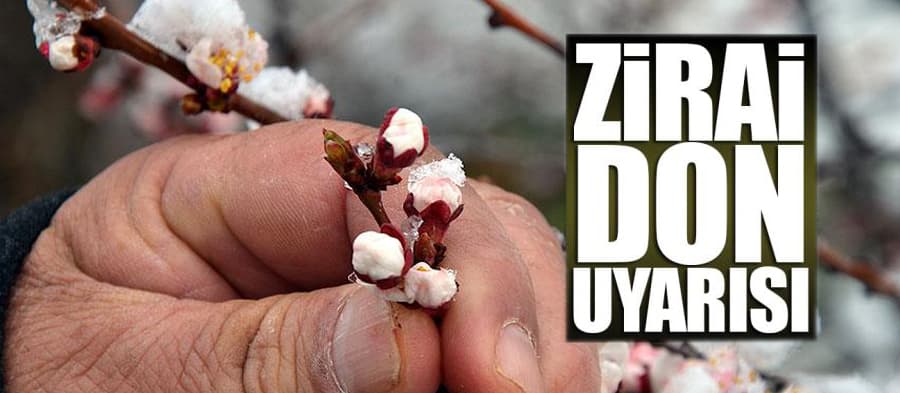 Sakarya için zirai don uyarısı