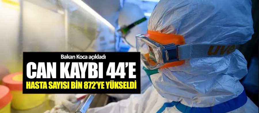 Koronadan ölüm sayısı 44'e ulaştı, vaka 1872