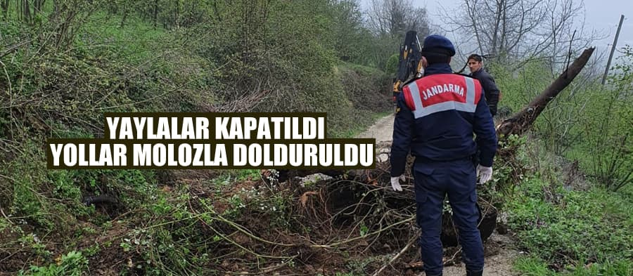 Yaylalar kapatıldı, vatandaşa 'evinize dönün' çağrısı