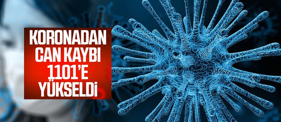 Koronadan can kaybı 1101'e yükseldi