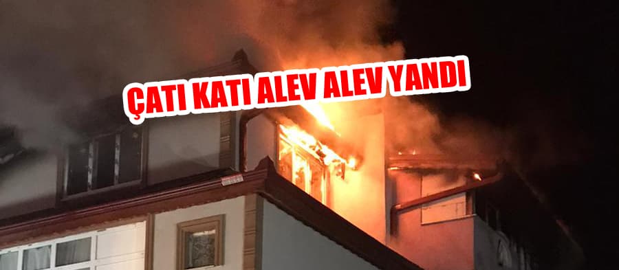 Arifiye'de alevli gece