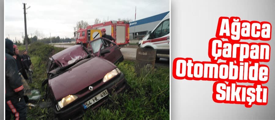 Otomobil ağaca çarptı: 1 yaralı