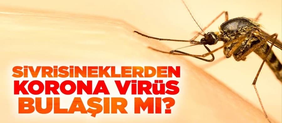Sivrisineklerden corona virüs bulaşır mı?