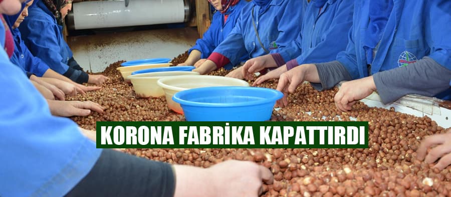 Korona fabrika kapattırdı
