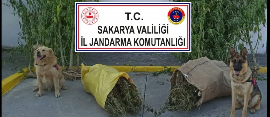 Uyuşturucu operasyonunda baba- oğul gözaltına alındı