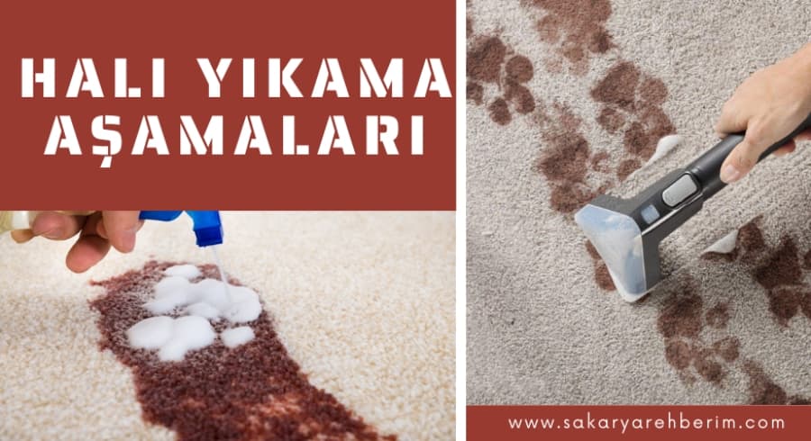 <p><img alt="" src="https://www.sakaryarehberim.com/pictures/haber_detay/resim211052LUSbh.jpeg" /></p>

<p><strong>HALI YIKAMA AŞAMALARI NELERDİR</strong></p>

<p>Halı yıkama firmaları, &ouml;ncelikle halıları toz alma dolaplarında ya da detaylı s&uuml;p&uuml;rme işlemi yapan aletler ile tozlarını alırlar. Sonrasında halı yıkama işlemine ge&ccedil;ilir. Halıya uygun olan şampuan ve ila&ccedil; karışımları kullanılarak halıdaki mikroplar ve bakterilerden arındırılır. Oluşan k&ouml;p&uuml;klerin halı diplerine girebilmesi i&ccedil;in yarı otomatik veya tam otomatik cihazlardan yardım alınır. İla&ccedil;ları olabildiğince halıya ge&ccedil;irebilen cihazlar sayesinde halı en temiz haline gelmektedir. Halı yıkama işleminden sonra halılar k&ouml;p&uuml;klerden arındırılır. Kurutma işlemi i&ccedil;in kurutma odalarına alınır. Kurutulan halılar paketlenerek tekrar m&uuml;şterilere ulaştırmak &uuml;zere yola &ccedil;ıkar.</p>