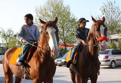 <p><font face="arial,helvetica,sans-serif" size="2">T&uuml;rkiye Jokey Kul&uuml;b&uuml;'ne bağlı Ekrem Kurt Apranti Eğitim Merkezi'nde eğitim g&ouml;rd&uuml;ğ&uuml;n&uuml; anlatan Badışoğlu; <font color="#333399">&quot;İleride &ccedil;ok iyi bir jokey olmak istiyorum. Bunun i&ccedil;in okulumu bıraktım ve apranti okuluna başladım. Amcamın iyileştirdiği atları yarışlara ben hazırlıyorum.&quot;</font> diye konuştu. </font></p><p><font face="arial,helvetica,sans-serif" size="2"></font></p><p><font face="arial,helvetica,sans-serif" size="2"><strong>10 YAŞINDA ŞEYMA YARIŞ ATLARIYLA TURİST GEZDİRİYOR</strong> </font></p><p><font face="arial,helvetica,sans-serif" size="2"></font></p><p><font face="arial,helvetica,sans-serif" size="2">Hipodromda koşan yarış atlarıyla boş zamanlarda turistleri gezdiren 10 yaşındaki Şeyma Badışoğlu, 4 yaşından beri at bindiğini kaydetti. </font></p><p><font face="arial,helvetica,sans-serif" size="2">Atlarıyla yakından ilgilendiğini s&ouml;yleyen Badışoğlu; şunları s&ouml;yledi: <font color="#333399">&quot;K&uuml;&ccedil;&uuml;kken amcamlar beni s&uuml;rekli ata bindirirlerdi. O zamanlar atları sevmeye başladım. Tek başıma ata binebiliyorum. Okul sonrasında &ouml;devlerimi yaptıktan sonra atlarla vakit ge&ccedil;iriyorum. Onları &ccedil;ok seviyorum.&quot;</font></font></p>