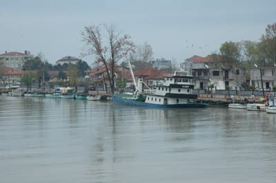 Sakarya Nehri'nde Su Seviyesi Yükseliyor