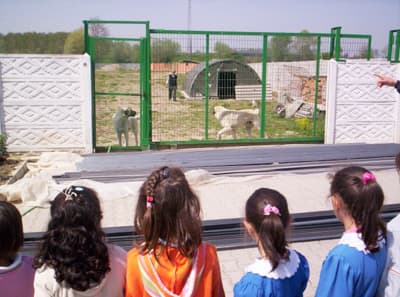 ShowDogs Köpek Çiftliği, Ziyaretçi Akınına Uğruyor