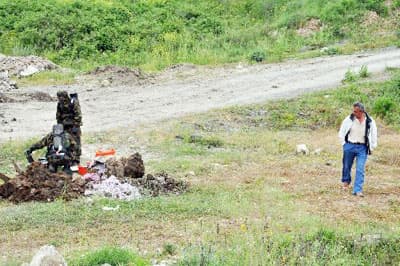 İnek Kimyasal Atıklardan Dolayı mı Öldü?