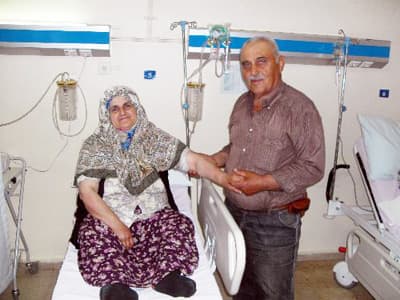 Arılar Yaşlı Kadına Acımadı