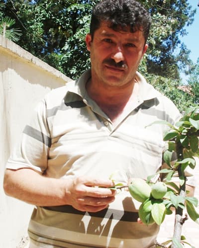 Bu Meyvenin Adı Yok