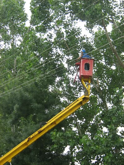 <p><font face="Arial" size="2">SEDAŞ a&ccedil;ıklamasında, <font color="#333399">&quot;Vatandaşlarımızın elektrik iletkenlerine temas eden ağa&ccedil; dallarının budanması sırasında, sorumlu ve bilin&ccedil;li bir yaklaşımla g&ouml;revlilerimize destek olmalarını, k&ouml;ylerimizde de muhtarların enerji nakil hattı altlarındaki ağa&ccedil;lar konusunda SEDAŞ'ın işletme birimleriyle can ve mal emniyetinin de sağlanması a&ccedil;ısından işbirliği i&ccedil;inde olmalarını bekliyoruz&quot;</font> denildi.&nbsp;</font></p><p><font face="Arial" size="2">A&ccedil;ıklamada ayrıca, kendi imkanları ile enerji nakil hattı g&uuml;zergahı yakınında bulunan ağa&ccedil;ları budayacak olan vatandaşların, can ve mal emniyeti a&ccedil;ısından mutlaka SEDAŞ arıza servisi ile irtibata ge&ccedil;meleri gerektiği belirtildi. Bildirimde bulunmadan ağa&ccedil; kesimi yapanların, kestiği ağacın elektrik şebekesi &uuml;zerine yıkılması gibi nedenlerle elektrik tesislerine zarar vermeleri ve enerji kesintisine yol a&ccedil;maları halinde de bu durumdan sorumlu olacakları vurgulandı.</font></p>