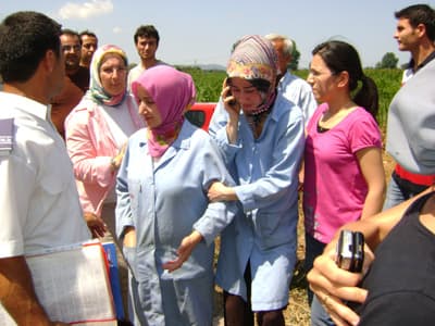 Erenler'de Yangın Çıktı