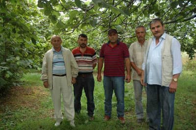 <p><font face="arial,helvetica,sans-serif" size="2">H&uuml;k&uuml;metin ana hedefinin ruhsatsız alanlarda fındık &uuml;retimini &uuml;&ccedil; yıl i&ccedil;inde yasaklayarak fındık ekim alanlarını 406 bin hektara d&uuml;ş&uuml;rmeyi planladığını anlatan Bayraktar, bu durumun T&uuml;rkiye'nin ihracatını etkileyeceğine dikkati &ccedil;ekti. 406 bin hektarda yetiştirilecek fındığın T&uuml;rkiye'nin ihracatını karşılayamayacağını bildiren Bayraktar; <font color="#333399">&quot;Sattığımız fındığı &uuml;retemez hale geleceğiz. Fındık &uuml;retimi ihracatı karşılamayacak. İ&ccedil; t&uuml;ketim ve ihracatımız ortalama 550 bin ton. 406 bin hektarda olacak azami fındık ise 450 bin tondur. Bize her yıl 550 bin ton fındık gerekiyor. Ruhsatlı alanların &ccedil;oğu eski fındık bah&ccedil;eleri. Bunlar doğu b&ouml;lgesindedir. Ruhsatlı bah&ccedil;elerde fındık &uuml;retimi d&ouml;n&uuml;m başına 80 ila 100 kilo civarında. Buradan ortalama 400 bin ton fındık &ccedil;ıkar.&quot; </font>diye konuştu. </font></p><p><font face="arial,helvetica,sans-serif" size="2"></font></p><p><font face="arial,helvetica,sans-serif" size="2"><strong>&Uuml;RETİCİLER: MAĞDUR EDİLİYORUZ</strong> </font></p><p><font face="arial,helvetica,sans-serif" size="2">Fındık &uuml;reticileri de h&uuml;k&uuml;metin yeni fındık planının &uuml;reticiyi mağdur edeceğini belirtiyor. &Ouml;nemli fındık &uuml;retim merkezlerinden biri olan Sakarya'nın Karasu il&ccedil;esinde &uuml;reticiler, yeni uygulamanın kendilerini memnun etmediğini s&ouml;yl&uuml;yor. Fındık yetiştiricisi Mustafa Zenginer, h&uuml;k&uuml;metin yeni uygulamayla &uuml;reticiyi t&uuml;ccarın kucağına attığı g&ouml;r&uuml;ş&uuml;nde. Yeni planda devletin ruhsatsız alanlarda &uuml;retime m&uuml;sade etmeyeceğini anımsatan Zenginer ş&ouml;yle konuştu:<font color="#333399"> &quot;Bizim k&ouml;y&uuml;m&uuml;z&uuml;n y&uuml;zde doksanında tapu yok. &Ccedil;ok az kısmında ruhsatlı fındık &uuml;retimi yapılıyor. Bu tapusuz yerlerin insanları acaba ne yapacaklar. Devletin burada yapmış olduğu bir fabrika bile yok. İnsanlar işsizlikten ne yapacaklar. Fındık t&uuml;ccarlara verilecekmiş. T&uuml;ccar devletten daha mı g&uuml;&ccedil;l&uuml;? Devlet bizi t&uuml;ccarın kucağına atıyor. &Ccedil;if&ccedil;isine sahip &ccedil;ıkması gereken devlet &ccedil;if&ccedil;isine sahip &ccedil;ıkmıyor.&quot;</font></font></p>