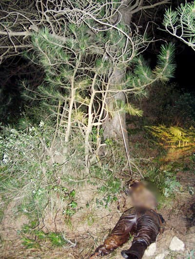 Önce Öldürüldü Sonra Hayvanlar Tarafından Parçalandı