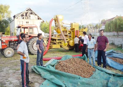 Fındık Yine Çiftçinin Elinde Kaldı
