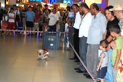 AKUT, ADA'da Tatbikat Yaptı