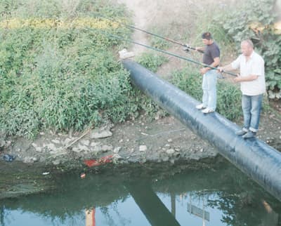 Sigara Yasağı Balıkçı Yaptı