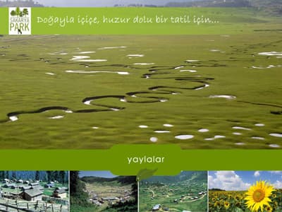 <font size="2"><font face="Arial"><strong>(5)</strong> İdari ve teknik alanlarda eğitimi sağlamak,<br /><br />Bu ama&ccedil;la;<br /><strong>(a)</strong> Konuları i&ccedil;erisinde seminerler, konferanslar tertiplenmesini sağlamak,<br /><strong>(b)</strong> Milli Eğitim Bakanlığından izin almak kayıt ve şartıyla lisan kursları ve turizm konusuyla ilgili başka kurslar d&uuml;zenlenmesini sağlamak,<br /><strong>(c)</strong> Turizm politikası, turizm eğitimi, tanıtma, halkla ilişkiler, irtibat ve pazarlama gibi konularda faydalı olacak &ccedil;alışmalar/eğitimler ve bu konularda yayınlar yapmak.<br /><strong>(d)</strong> Elemana ihtiyacı olan turistik tesislerin eleman teminine yardımcı olmak.<br /><strong>(6)</strong> Sakarya&rsquo;nın k&uuml;lt&uuml;r mirasının korunması, yaşatılması, geliştirilmesi ve renklendirilmesi doğrultusunda kamu kesimince yapılan ve yapılacak &ccedil;alışmaları motive etmek ve &ouml;zendirmek.</font></font> <p><br /><font size="2"><font face="Arial"><strong>SAKARYA TURİZM PLATFORMU Y&Ouml;NETİM KURULU BAŞKAN YARDIMCISI MURAT AĞIRBAŞ&rsquo;IN KONUŞMASI</strong> </font></font></p><p><font face="arial,helvetica,sans-serif" size="2">Sakarya Turizm platformu olarak Sakarya ilimizde başta turizm olmak &uuml;zere eğitim,sağlık, &ccedil;evre k&uuml;lt&uuml;r, sanat ve spor ile ilgili projeler &uuml;retmek ve oluşturulan projelere destek vermek ama&ccedil;ları ile kısa, orta ve uzun vadeli programlar oluşturmuş bulunmaktayız. <br />Bu programlar kapsamında kısa vadeli etkinlik olarak kararları alınan ve &ccedil;alışmalarına başlatılan bazı projelerimizden bahsetmek isterim. </font></p>