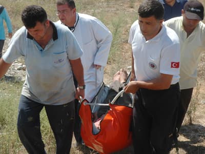Eşek Arıları Hastanelik Etti